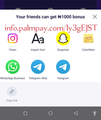 Use my code and get instant 1k on palm pay